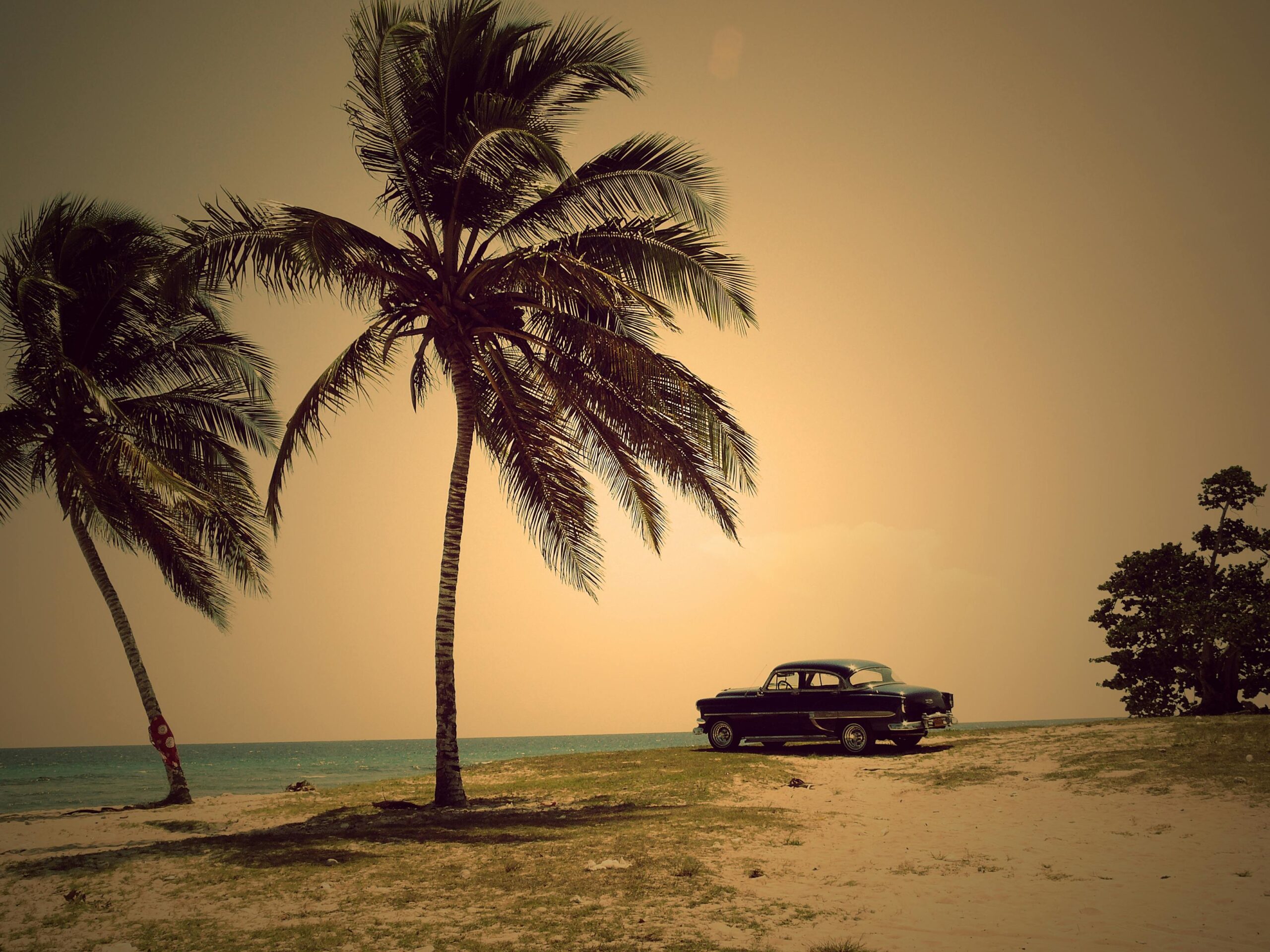 Vintage black car parked on a sandy beach under tall palm trees with the ocean in the background.